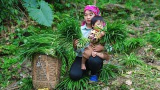 Harvesting chives to sell at the market, Buying chicks to raise, Single mother farm, Triệu Thị Hiền