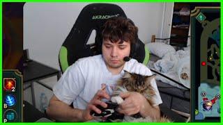 Cat Steals Dragon - Best of LoL Streams 2653