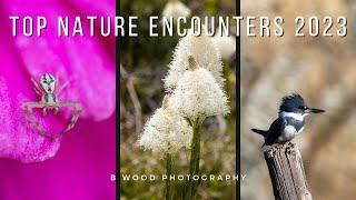 Top 15 Nature Encounters of 2023 | B Wood Photography