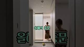 한번보면 계속 생각나는 중문/#현관중문 #중문추천 #현관인테리어 #자동중문