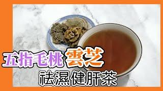 去濕又護肝的湯水 適合春天飲用 飲番兩碗人都醒神啲 | 五指毛桃雲芝去濕健肝茶 | 雲芝怎樣煲