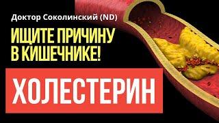 Высокий Холестерин и проблемы с кишечником: как это связано?