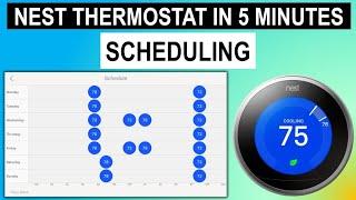 Nest Thermostat in 5 Min: Scheduling