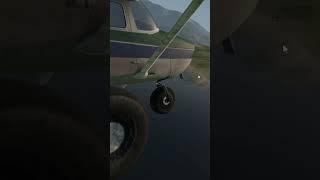 cessna 172 bush kit butter (no)