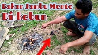 Bakar Jambu Mente Di Kebun