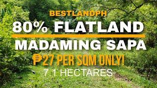 #098 FARM LOT FOR SALE | SUPER GANDA NITO - 80% FLATLAND AT MAY MGA SAPA SA LOOB NG PROPERTY