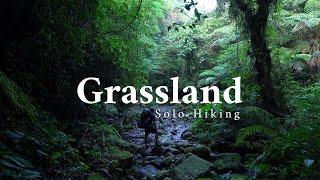 SOLO HIKING Grassland, Murcia | (Campuestohan Trail) | Camping | Philippines