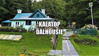 View at Kalatop, Dalhousie | Forest Rest House | Chamba | Himachal | Travel | Vlog | Himalayas |