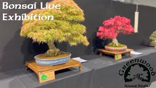 Bonsai Live Show - Greenwood Bonsai