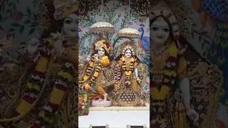 RADHA RANI DARSHAN #trending #bhakti #shyam #radha #rani #sorts #video #vrindavan #live 