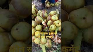 Pawan Singh ka Bhojpuri gana#youtubeshorts #trending #shorts #reels