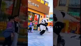 # Funny video # Cute Panda Running 