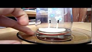 Water Glass Trick