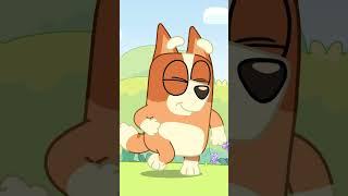 Lila and Bingo's Slide Discovery 🪲 | Bluey's Bestest Friends #ytshorts