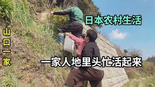 日本農村天氣回暖，山口去地裏薅草，我們母女倆也來幫忙啦