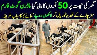 goat farming business in pakistan 2024 | goat farming business plan | Modern Goat farm |