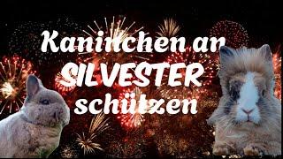 Kaninchen an SILVESTER schützen ️#hoppellender2024