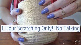 ASMR * 1 Hour Scratching Only * 50K Celebration * Fast Scratching * No Talking * ASMRVilla