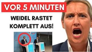 AfD gibt Presse-Statement & Weidel zerlegt Merz komplett!