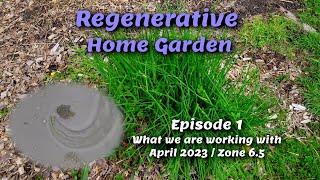 Regenerative Home Garden  - What we are working with this season! 2023