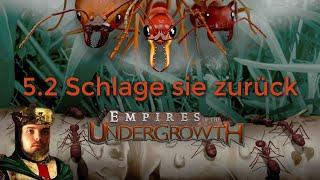 Schlage sie zurück | Mission 5.2 | Empires of the Undergrowth | Let's Play