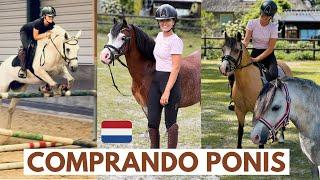 VLOG-En busca de ponisen Holanda ,monto mil ponis ️ aventura con Sports Ponis, los elegidos?