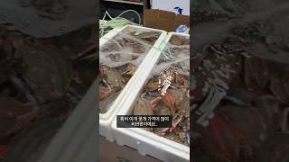 [옌타이] 이게 중국 재래시장이라고? 그리고 2023년 중국의 시장물가는? #재래시장 #중국여행 #가성비
