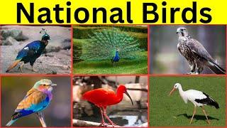 National Birds of the World  || National Birds around the world