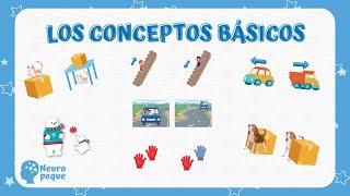 Actividades de CONCEPTOS BÁSICOS para Niños ⬆️⬇️Aprendemos los Conceptos básicos