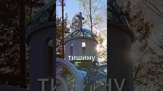 Пока мы живы! Эдуард Асадов #стихи #поэзия