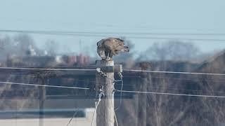 Bear Creek Wildlife Sanctuary - 1/1/2023