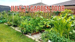 July 23 garden tour #canada #garden #plants