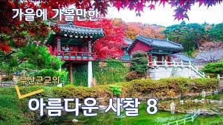 가을에 가볼만한 부산근교의 사찰 Best 8/부산근교의 가을 여행지