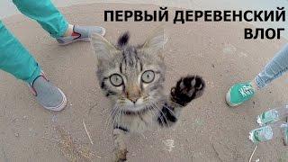 ПЕРВЫЙ ДЕРЕВЕНСКИЙ ВЛОГ [CAMvsMAN]