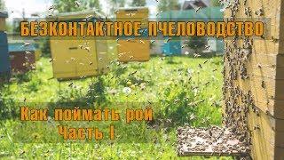 Как поймать рой. Часть 1.  Бесконтактное пчеловодство