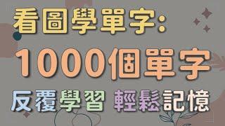 看圖學1000個基礎英文單字 (修正版)    【圖像式學習】  #英文單字 #英語實用單字 #看圖學英文單字