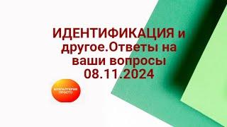 ИДЕНТИФИКАЦИЯ и другое.Ответы на ваши вопросы 08.11.2024.