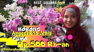 Shopping Viral Splashy Flowers! Where to buy the MOST CHEAPEST and MOST COMPLETE LUMAJANG 5000s city