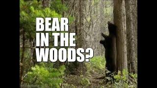 What Happens when you see a Bear while Camping.....