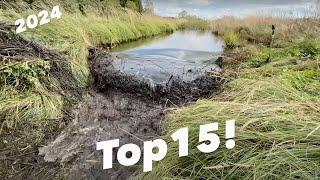 Beaver Dam  Removals Compilation!