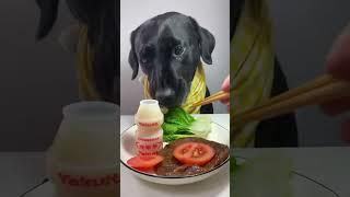 น้องหมากินผัก.                     #doglover