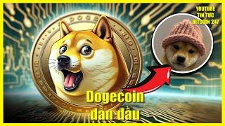 Vì sao Dogecoin dẫn đầu thị trường, các meme coin tăng trưởng mạnh