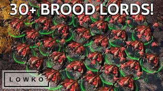 SHIN brings Mass Brood Lord back! StarCraft 2