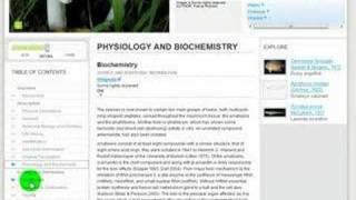 Encyclopedia of Life (Feb 2008 Launch)