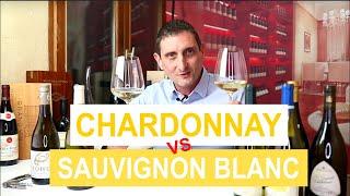 Chardonnay Vs Sauvignon Blanc: Comparing the 2 Most Popular Types of White Wine