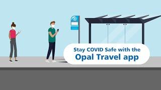 Stay COVID Safe and avoid non-essential travel.