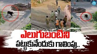 A hunt to catch a bear.. | Karimnagar Latest News | iDream News