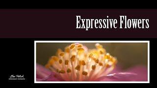 Expressive Flowers