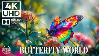Butterfly & Flower 4K | Relaxing Insect Film with Soothing Music  • 4K Video UHD