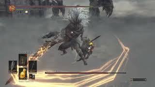 Anri's straight sword VS Nameless King